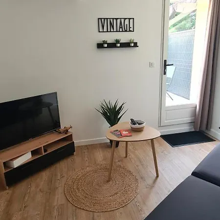 アパート Le Petit - Climatise Avec Parking Gratuit Fronton