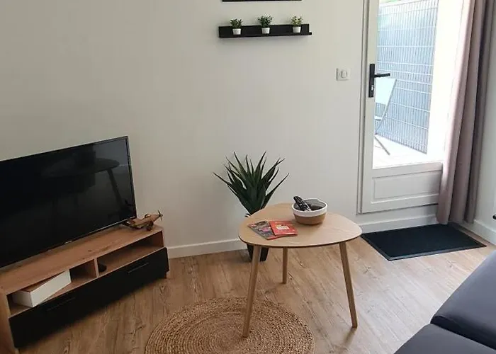 شقة Le Petit - Climatise Avec Parking Gratuit Fronton