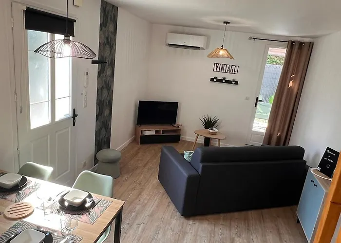 Le Petit - Climatise Avec Parking Gratuit Fronton