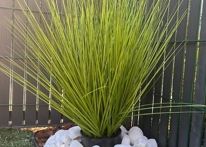 Le Petit - Climatise Avec Parking Gratuit